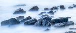 海