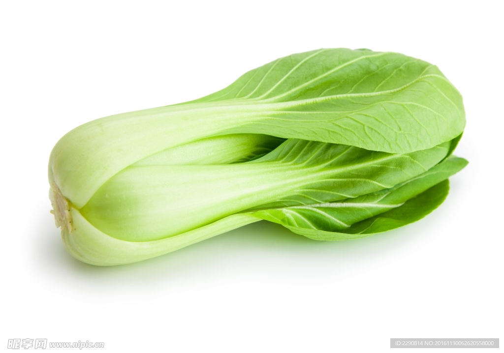 油菜 小油菜 水果蔬菜 蔬菜