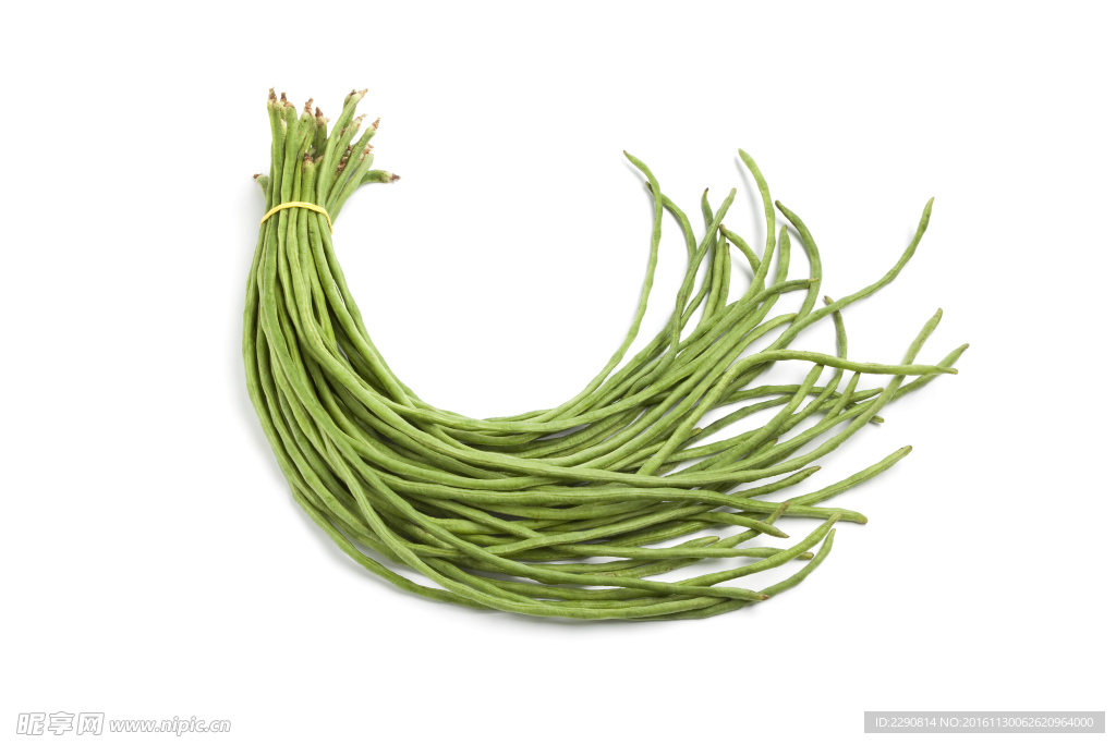 豇豆 长豇豆 蔬菜 豆角 架豆
