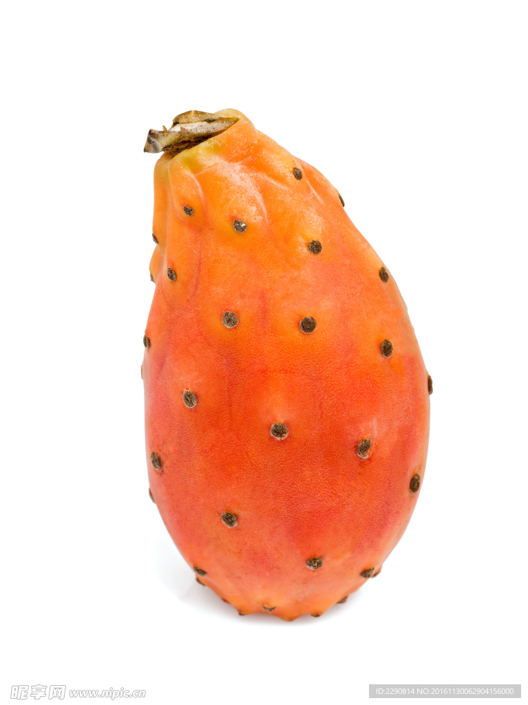 仙人掌果仙人掌无花果
