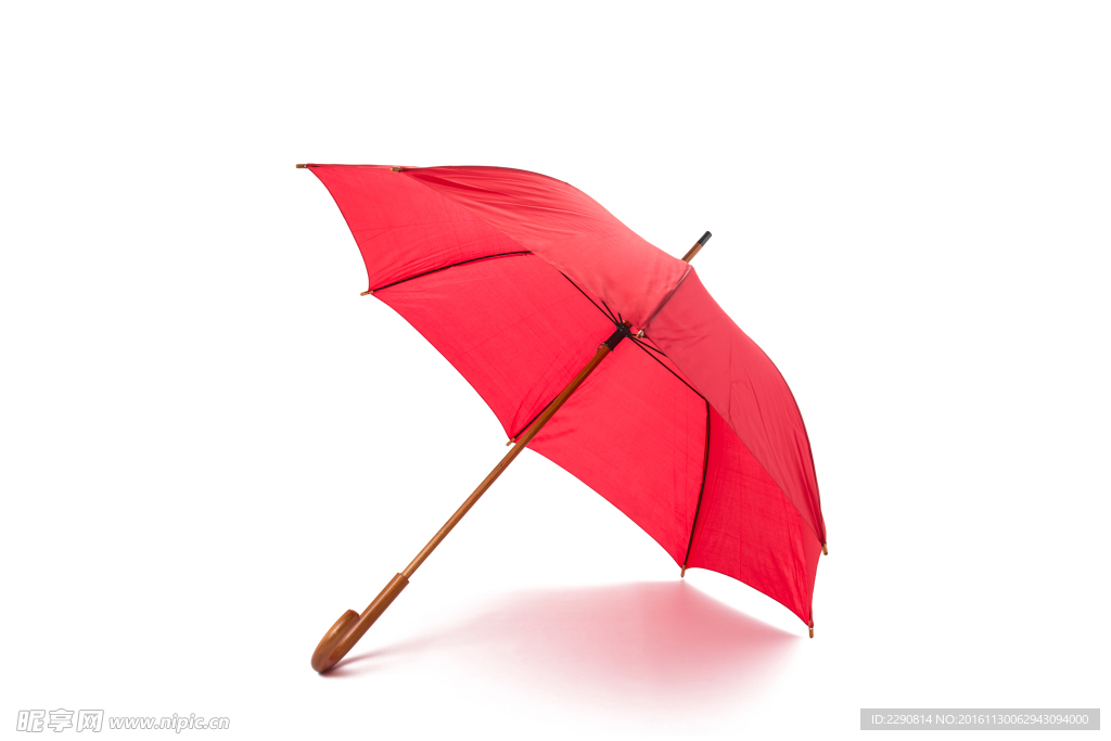 雨伞
