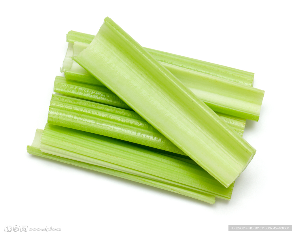 芹菜 静物 拍摄 晚上 摄影棚