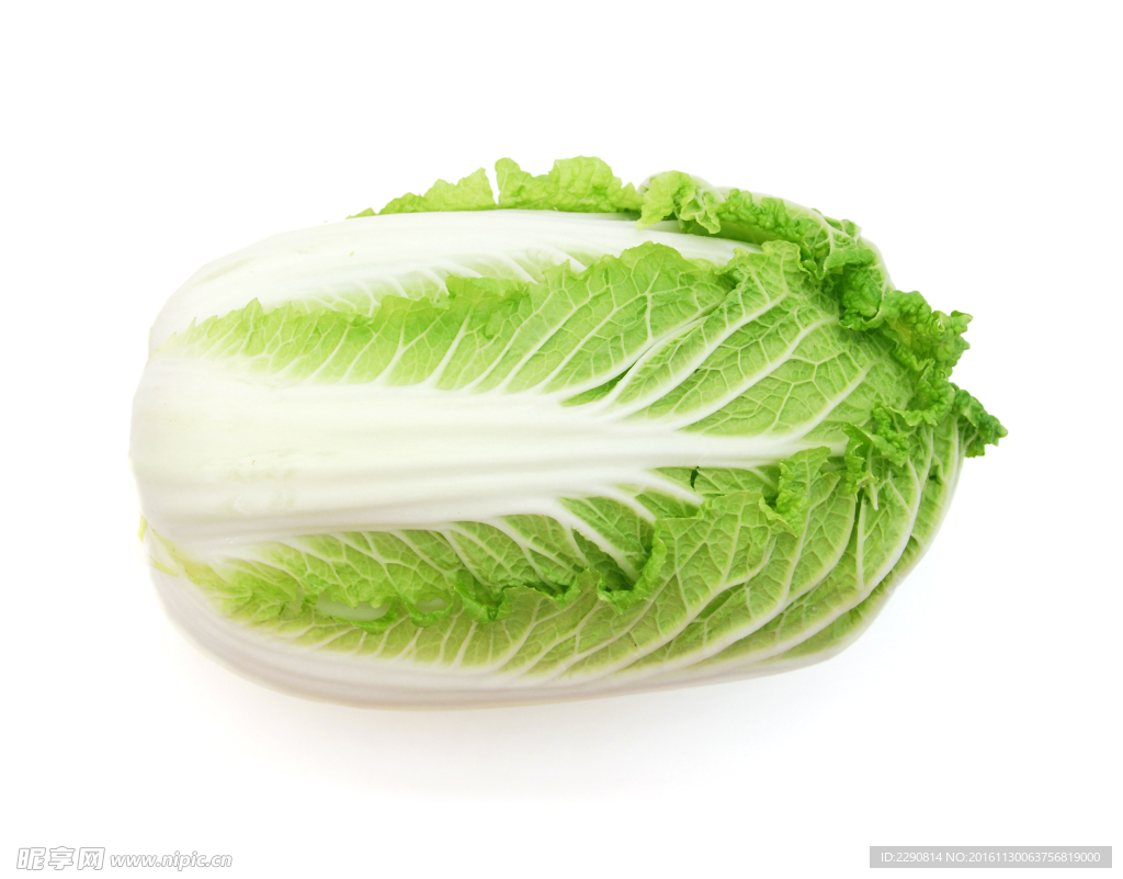 白菜