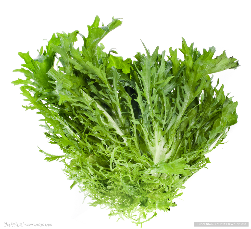 蔬菜