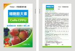 细胞膨大素
