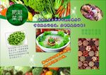肥姐菜谱三折页