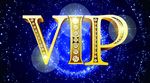 vip金字