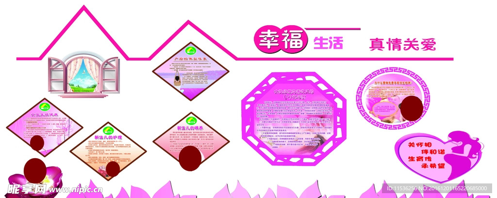功能科制度