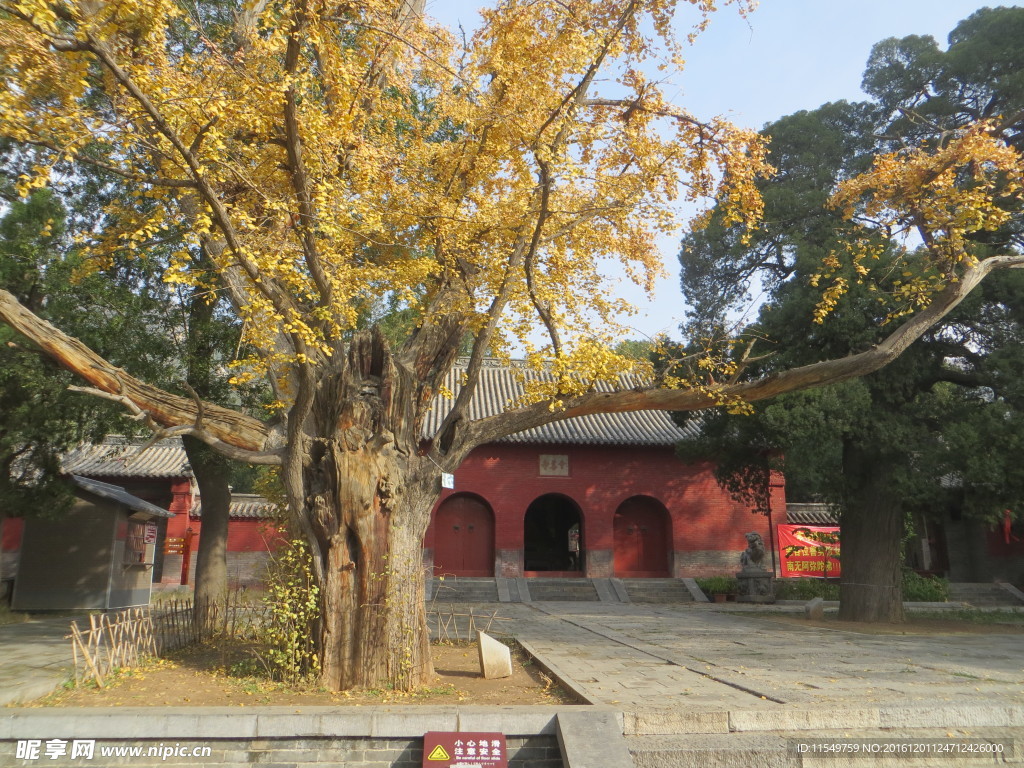 嵩山 会善寺