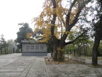 会善寺外景