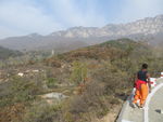 嵩阳景色