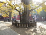 嵩山法王寺内景