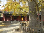 法王寺风景