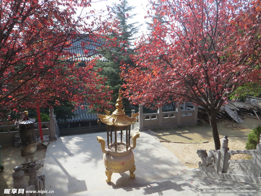 法王寺内景