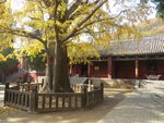 法王寺景色