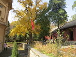 大塔寺风景