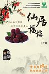 杨梅不干胶