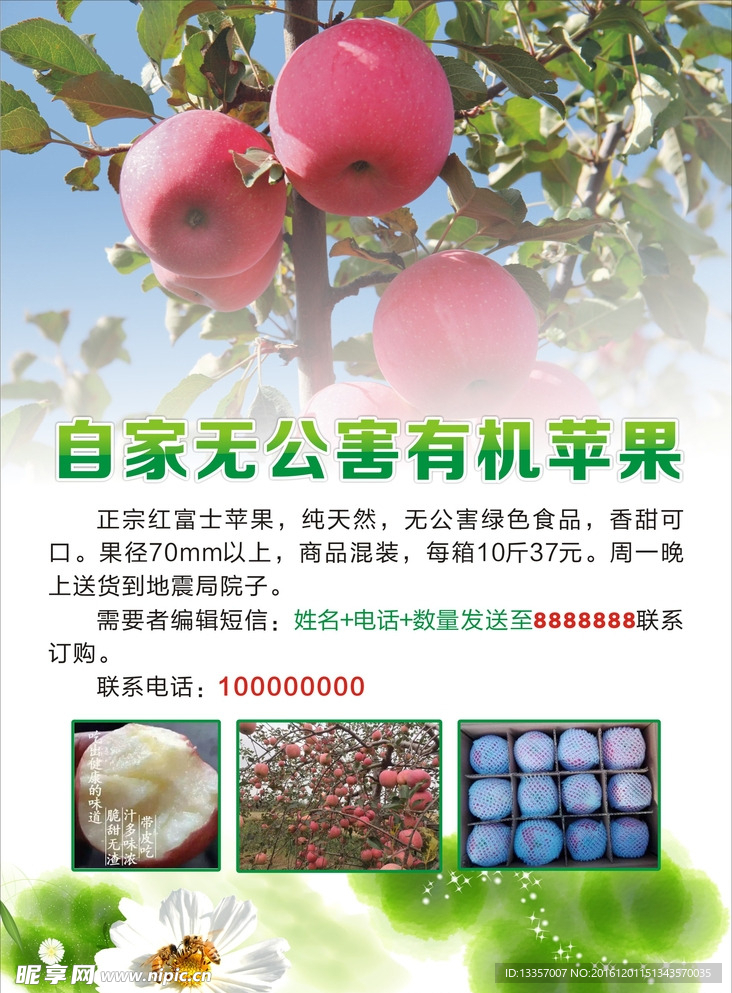 苹果海报