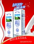 牛奶海报