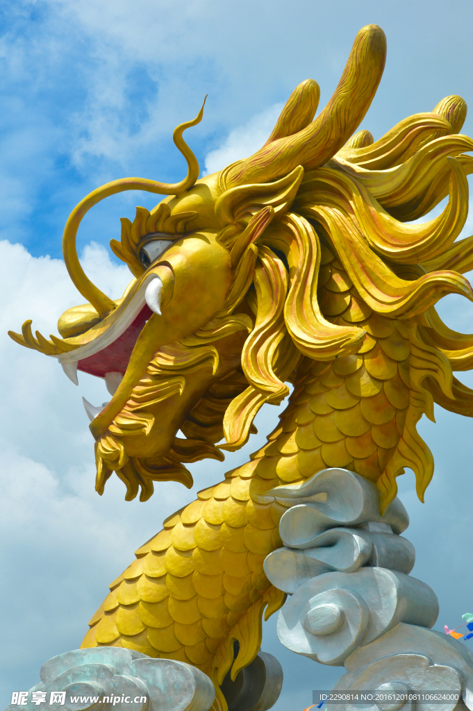 龙