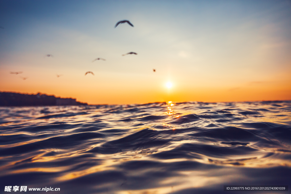 海浪