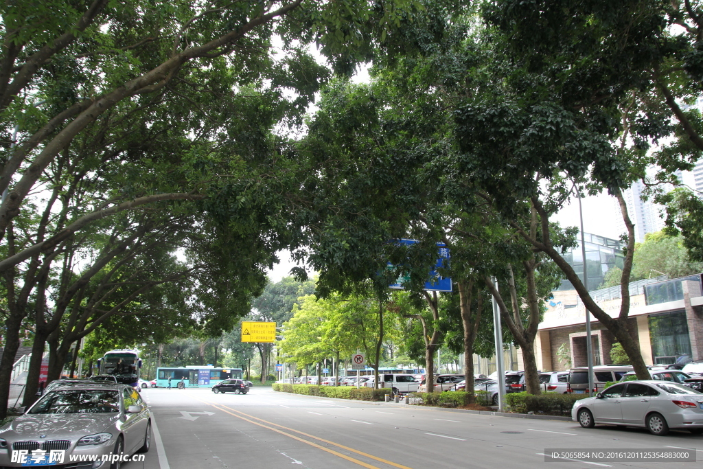 城市公路