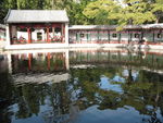 池塘
