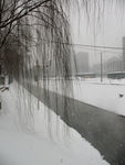 雪景