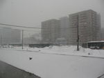 城市雪景