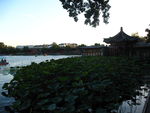 后海
