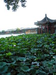 后海