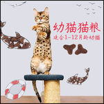猫粮