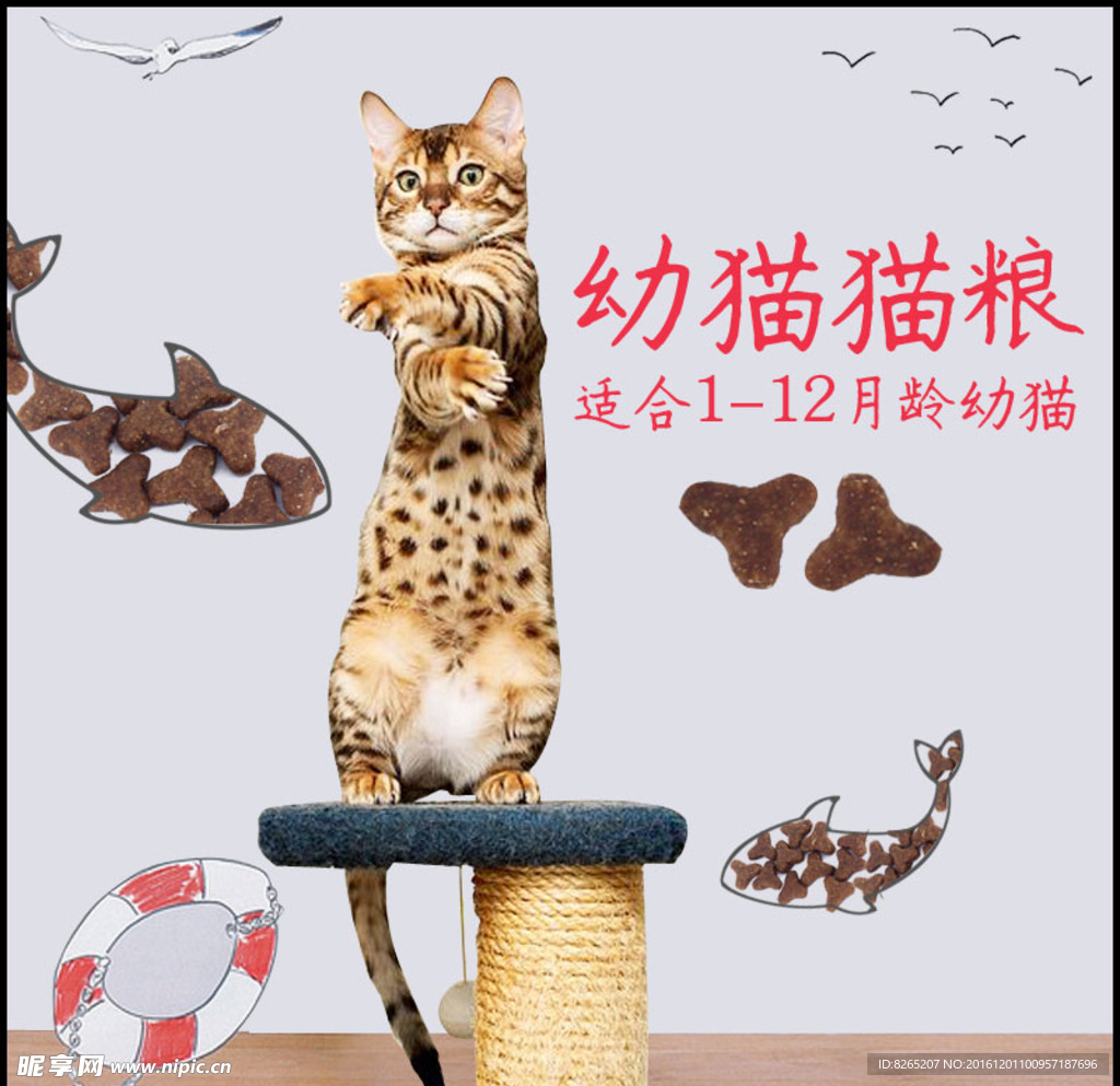 猫粮