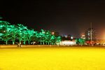 大连夜景