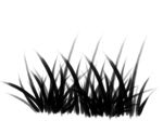 浓密的青草、草地CG画笔PS笔