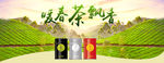 茶叶海报 茶叶banner