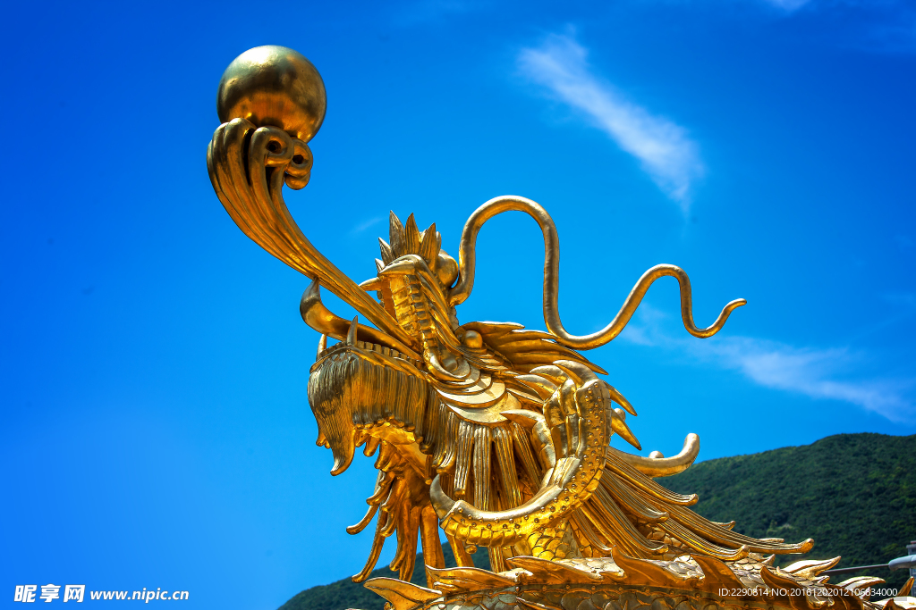 龙
