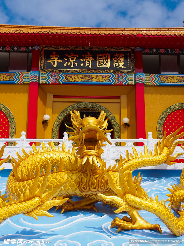 龙