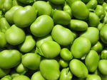 蚕豆 蚕豆角 新鲜蚕豆 嫩蚕豆