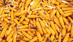 玉米 苞米 玉米晾晒 干玉米