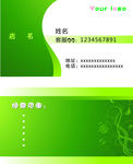 绿色名片
