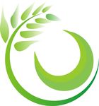 叶子logo