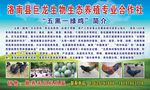 巨龙生物生态养殖专业合作社
