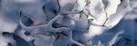 雪 花