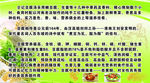 仝记豆腐汤简介