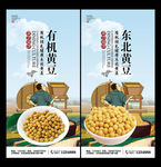黄豆