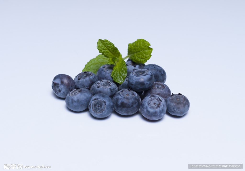 蓝莓 蓝莓图片