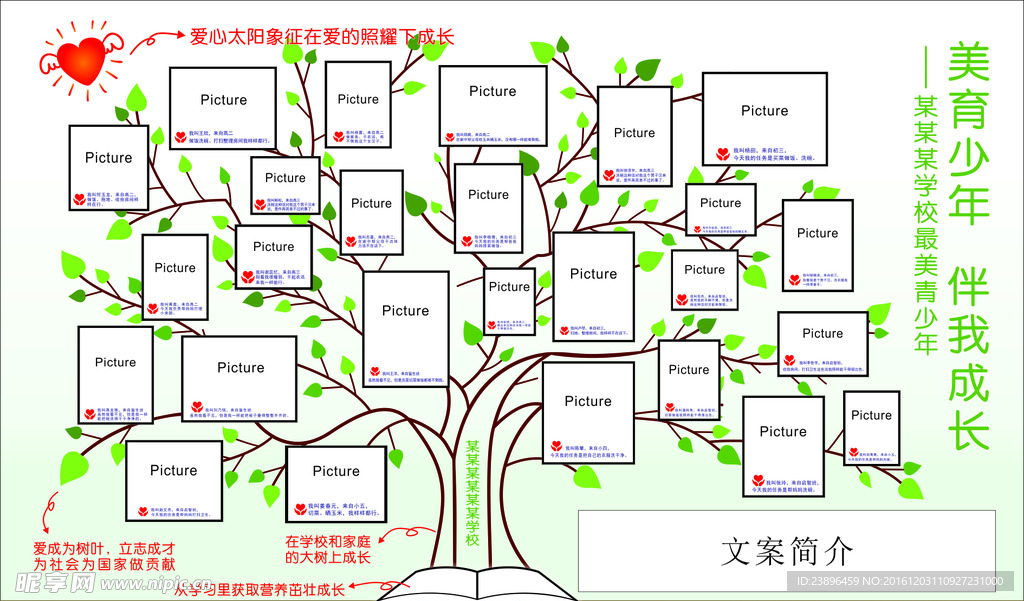 学校展板