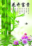 花开富贵