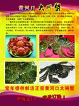 大闸蟹